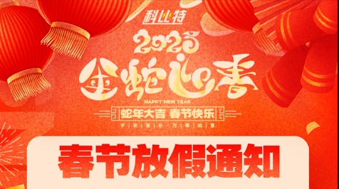 必一网页版登录入口集团2025春节放假通知